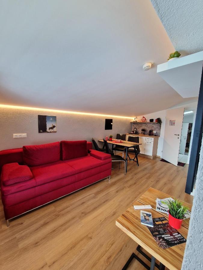 Apartment Kalina & Lian - Zell Am See Exterior photo